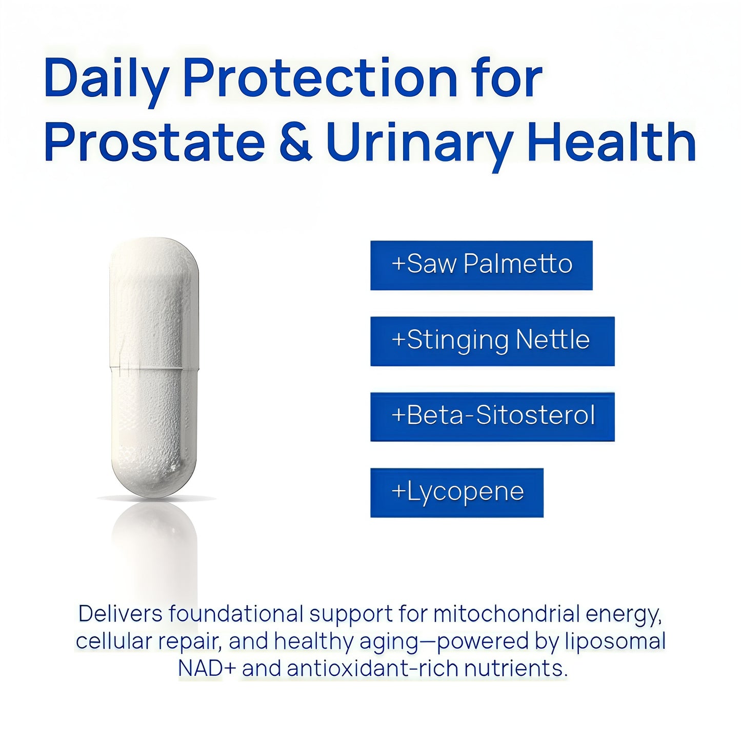 Recovery

NAD+

Magnesium

Energy Boost

Balance