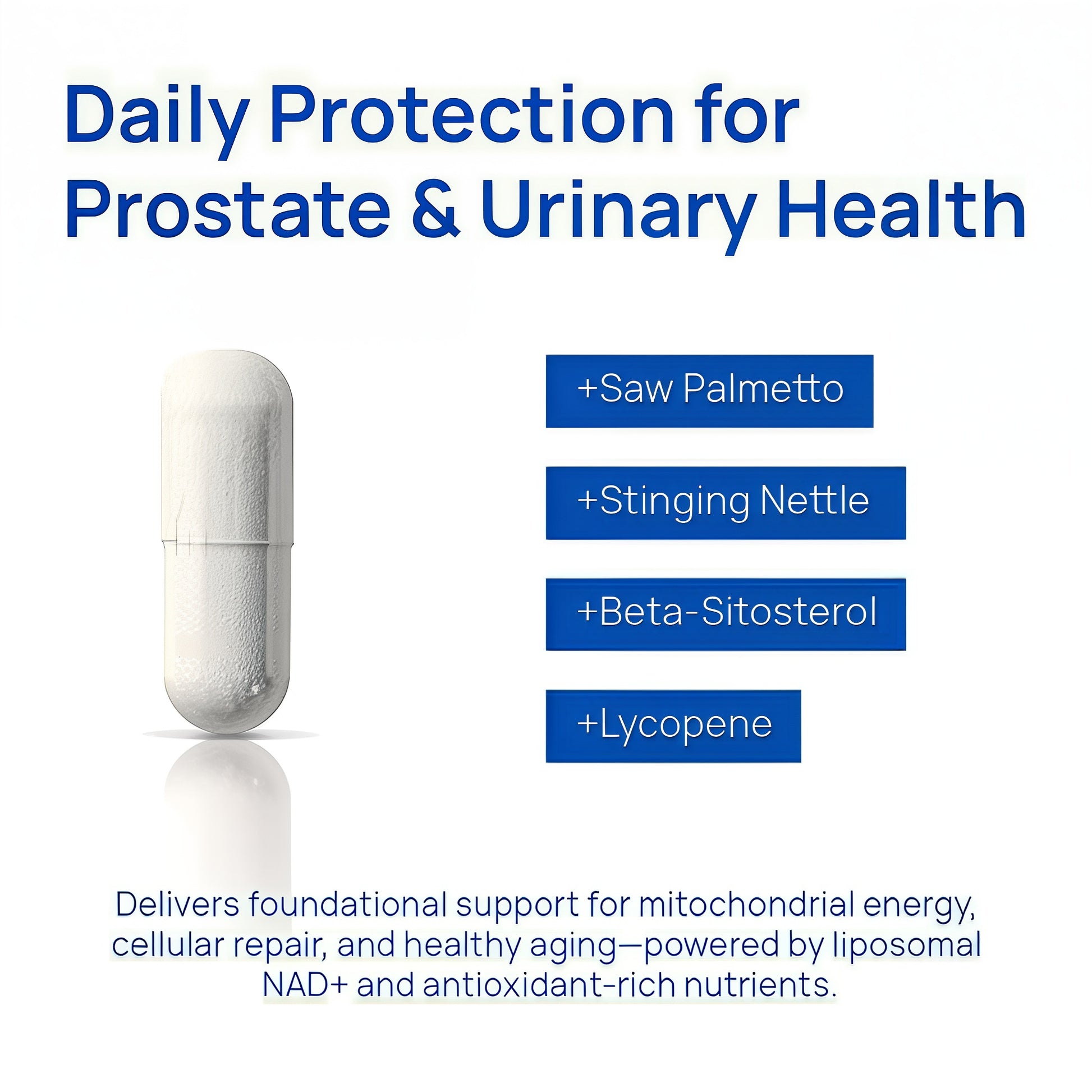 Recovery

NAD+

Magnesium

Energy Boost

Balance