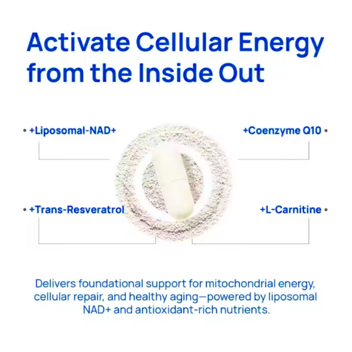 Recovery

NAD+

Magnesium

Energy Boost

Balance